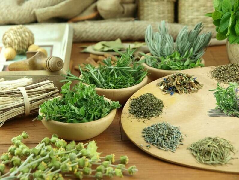 Herbs that rejuvenate the skin of the face
